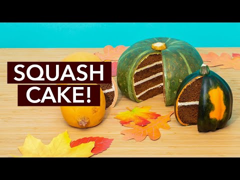 Video: Squash Tortu