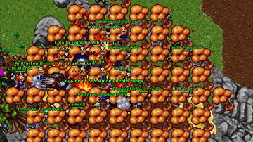 TIBIA ED 402 DEAD DOUBLE PUSH AND PC FREEZE-EXIVA"YETI" Happy Valentine