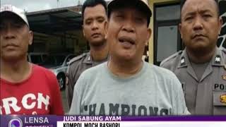 Polisi Gerebek Judi Sabung Ayam di Tengah Sawah