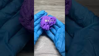 100均で見つけた少し変わったスクイーズでASMR