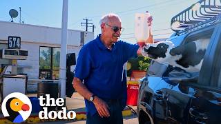My Dad Agrees To Drive 600 Miles With A Baby Cow In The Back Seat | Cow Trip x The Dodo