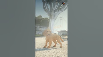 [FIVEM SCRIPT PED] English Cocker Custom Ped  - (FiveM Scripting Modding Future Store)