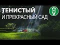 Что посадить в тени? Эти КУСТАРНИКИ наполнят тенистые уголки сада яркими красками