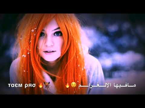سامر طالب و يارا لاتروح بعيد مع الكلمات 