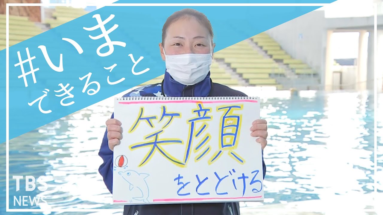 八景島シーパラダイス Xplast Com Py