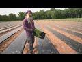 Preview maryland farm  harvest 1108