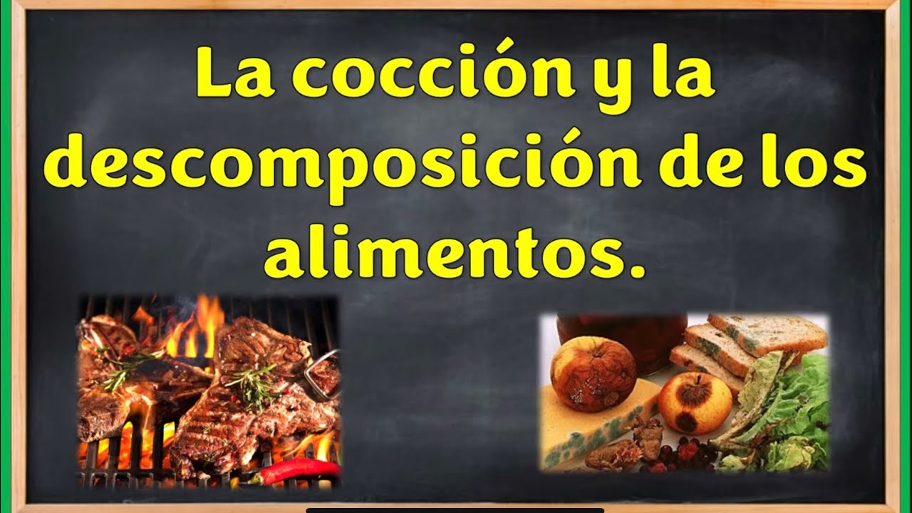 La cocción y descompsición de los alimentos - YouTube