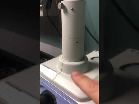 Bio3050 microscope tutorial