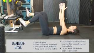 Deadbug Variations for Core Work