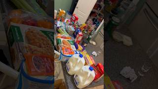 Quick Grocery Order For My Large Family