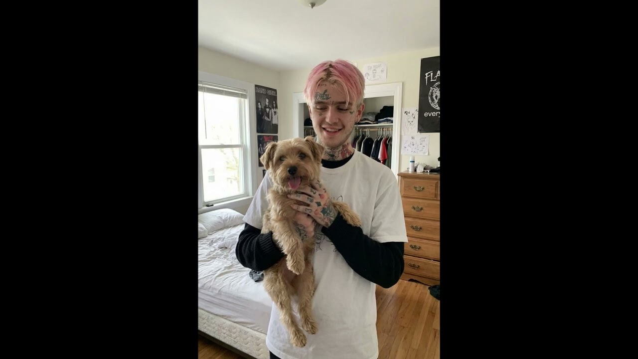 [FREE] old lil peep  x nedarb type beat  * sadness *