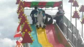 Furry Fun Slide