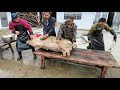 农村杀猪 湘北最知名的屠夫带着徒弟下乡杀猪 个个都是高手 每天能赚不少钱