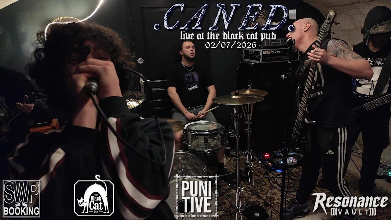 CANED - Black cat - 02/07/2026