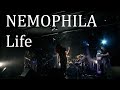 NEMOPHILA / Life [Official Live Video]