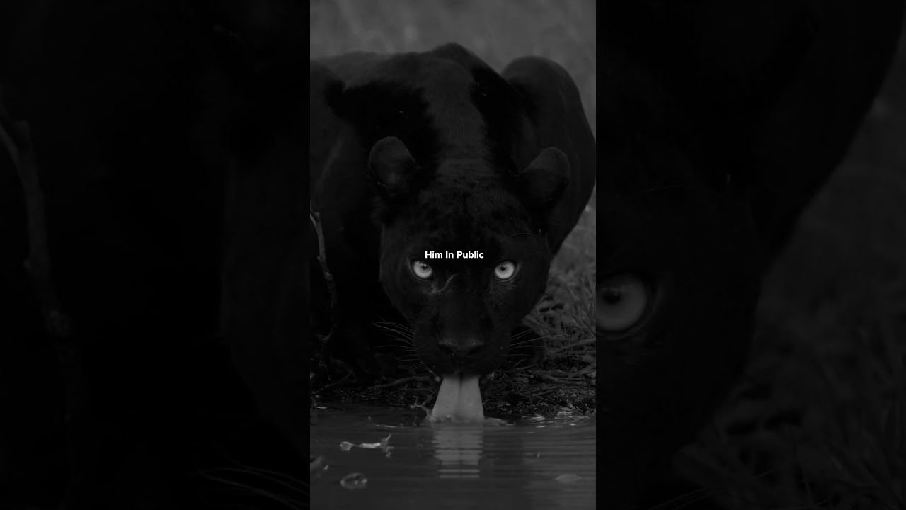 7 Rules For A Better Life. 