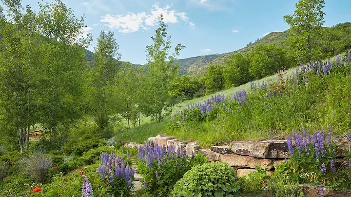 Cultivating Place: Gardening as an Intersectional ...