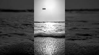 Rafet El Roman Ömrümün Sahibisin Sen