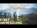 Black Desert Online 2020 First Impressions "Is It Worth Playing?"