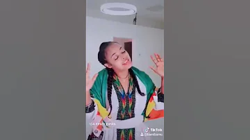 ግጥም አለኝ በልተነሳ ፋኖ ያአማራው ነፍጠኛ Ethiopin Amhara Fanoflawrencebishnoi Seifuonebs 