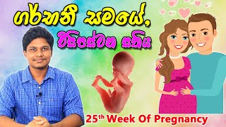 Pregnancy 25th Week | Sinhala Medical Review | අම්මයි බබයි