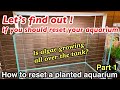 How To Reset A 60cm Planted Aquarium Part1. First, let's find out if you should reset your aquarium!