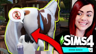 ÉLETERŐ NEKTÁR + ÚJ FARM ?? - The Sims 4 - Horse Ranch 9
