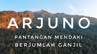 ARJUNO #1 Gunung Paling Angker di Jawa Timur | RIKAS HARSA