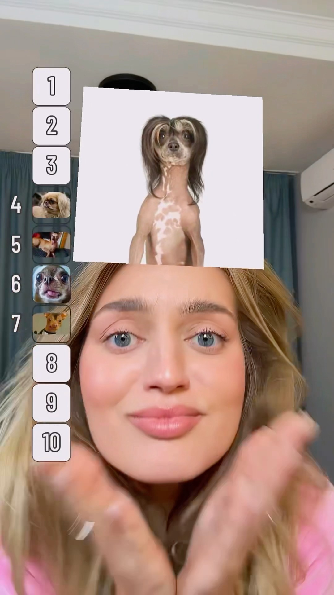 Find the cutest dog 1-10????
