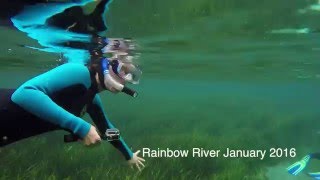 Rainbow River Snorkeling 2016