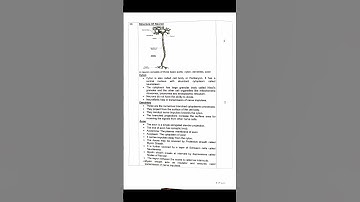 10th Science Public Exam Official Answer Key 2025