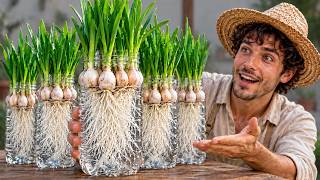 Stop Buying Garlic! Grow It in Plastic Bottles With Just Water