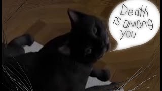 He gave me the death stair |Catify VR|