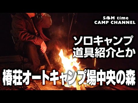 【ソロキャンプ】道志村 椿荘オートキャンプ場　中央の森