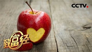 《致富经》 小媳妇回娘家两年竟成百万富姐！经她手的苹果一颗为何能卖到20块钱？ 20181214 | CCTV农业