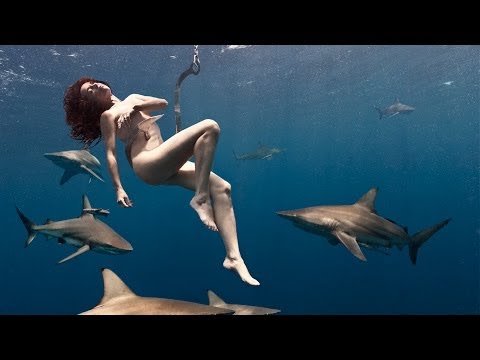 Shark Awareness Campaign: Lesley Rochat goes naked with sharks to save them