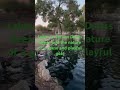 #loveeveryminute #nature #trading #lakes #TucsonRod