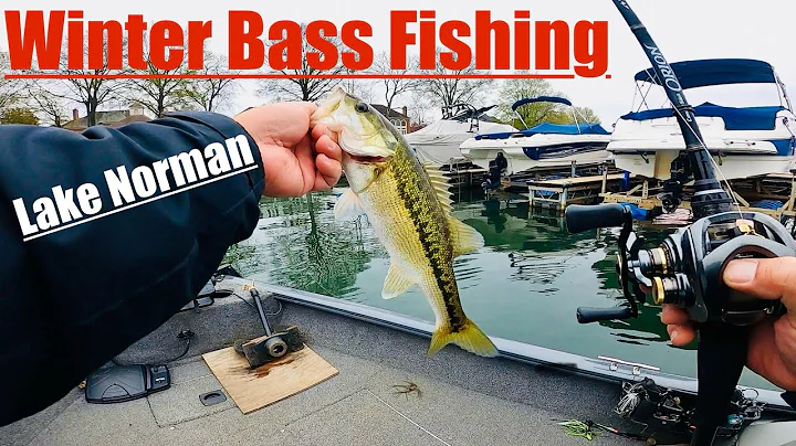 Winter BASS Fishing on Lake Norman, NC