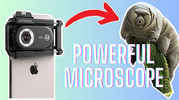 You NEED This Microscope for Your Phone! Apexel PhoneMicro 5 Review
