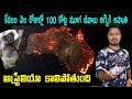 Bushfires In Australia | Why Bushfires Occured In Australia? | Vikram Aditya Latest Videos | #EP210