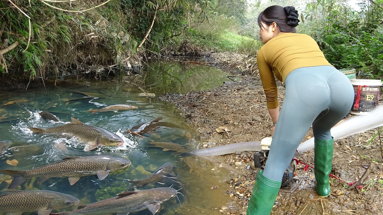 Amazing Fishing in Wild Lake | Village Girl Using Pumps Draining Wild ...