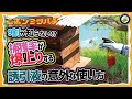 今年の分蜂は早いぞ！【捕獲率爆上がり】誘引液の使い方日本みつばちの養蜂 How to Beekeeping