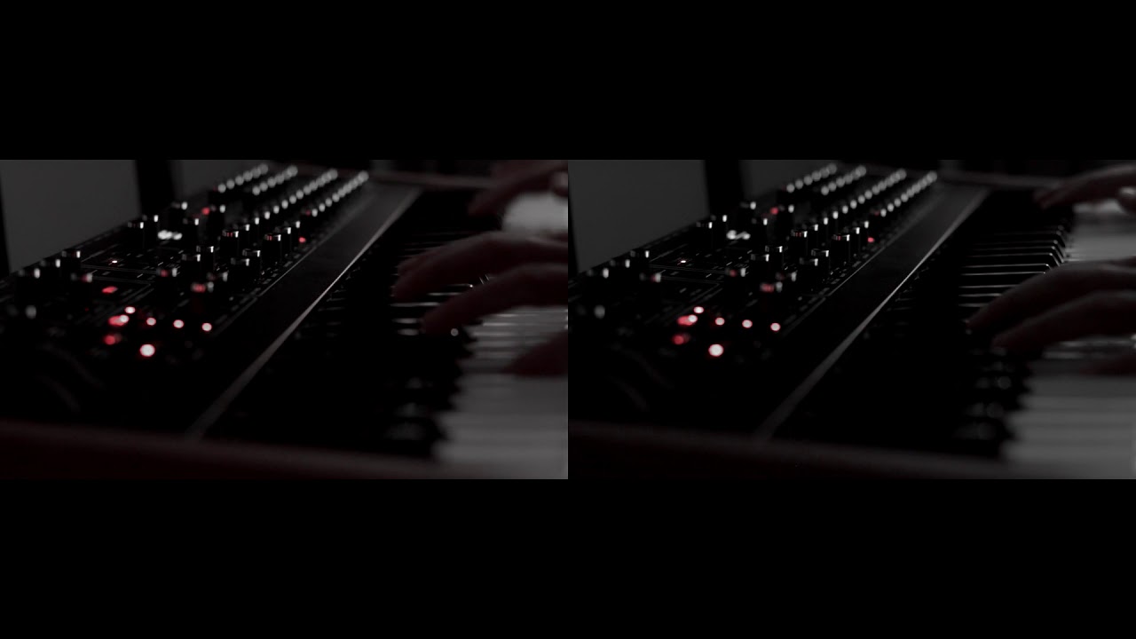 Dave Smith Instruments Prophet REV 2 - 