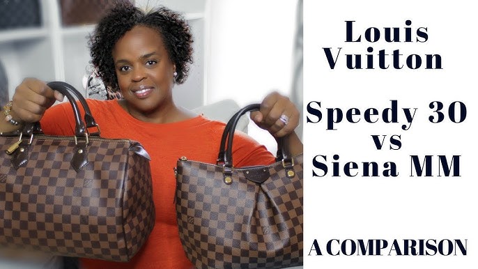Louis Vuitton Graceful PM with Speedy 35 Comparison 