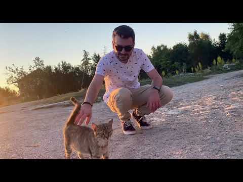Simge - Üzülmedin