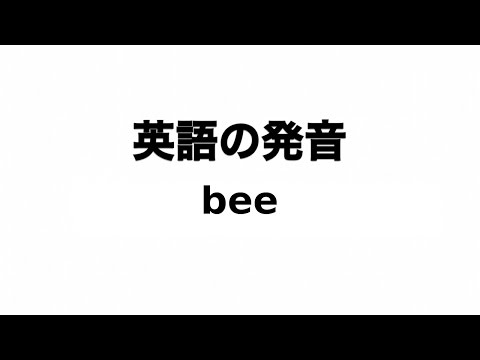 英単語 bee 発音と読み方
