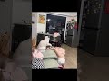 Cat and Kid's..!!🤣😂 #funny #funnycats #memes #comedy #funnyshorts #trending #shorts #foryou #fyp