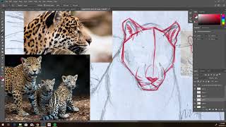 Feline anatomy lesson - Red line screenshot 3