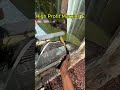 Next Best Business to Start ... #entertainment #entrepreneur #smallbusiness #windowcleaning #fyp
