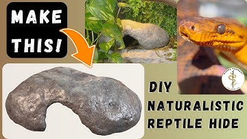 How To Make A Reptile Hide That Looks Like A Rock! DIY Tutorial